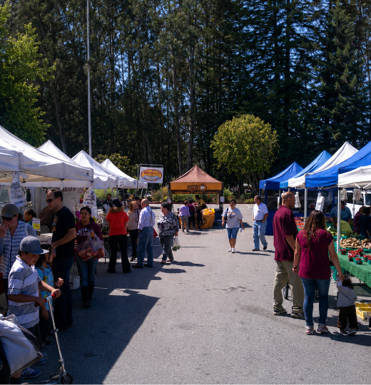 Farmers Markets